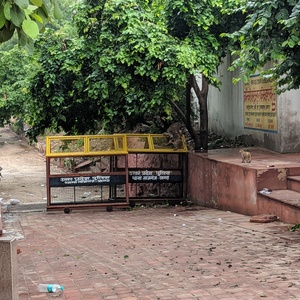 IMG_20190708_074110.jpg
